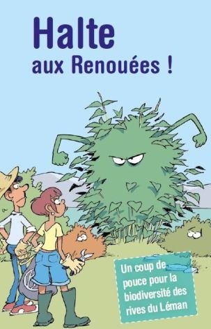 L'Association pour la Sauvegarde du Léman veut venir à bout des renouées